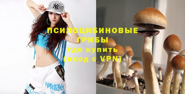 не бодяженный Алзамай