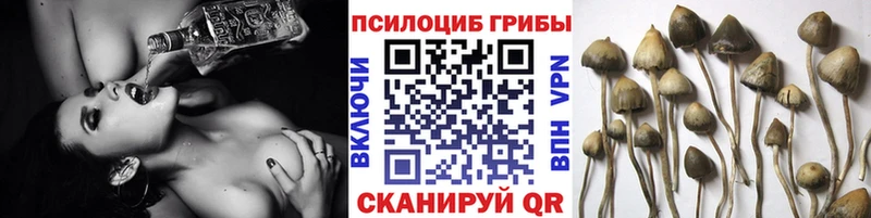 цена наркотик  Углич  это формула  Псилоцибиновые грибы ЛСД 